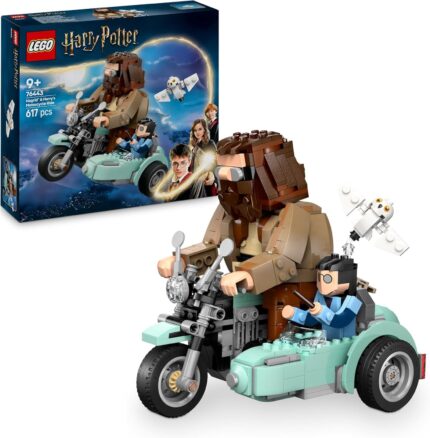 Giro sul sidecar di Hagrid e Harry