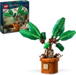 Mandragola