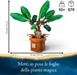 Mandragola - immagine 2