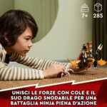 DRAGO DI TERRA DI COLE - immagine 2