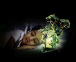 WILTOPIA - LUCE NOTTURNA DELLA FORESTA AMAZZONICA - immagine 3