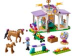 Addestramento equestre - immagine 2