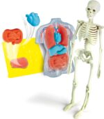 CLEMENTONI SCIENZA & GIOCO LAB - ANATOMIA SCHELETRO E ORGANI - immagine 3