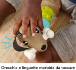 Bassotto Gira e Gioca - immagine 3