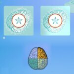 Cortex² Challenge (bianco) - Base - Multi (ITA). - immagine 2
