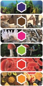 Microscopio Smart AI interattivo con AI e telecamera wi-fi - immagine 3