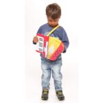 Fisarmonica a 17 tasti con tracolla - immagine 3