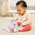 Marina polipetta canterina - immagine 3