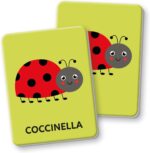 Montessori Flashcards - Primo Memo - immagine 3