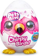 Pets alive chirpy birds