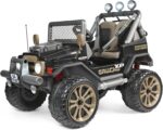 AUTO ELETTRICA GAUCHO XP 24v.