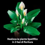 Spatifillo - immagine 3