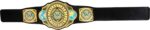 Cintura Intercontinental Championship - immagine 3