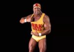 WWE - Hulk Hogan - immagine 3