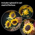Bouquet di girasoli - immagine 3