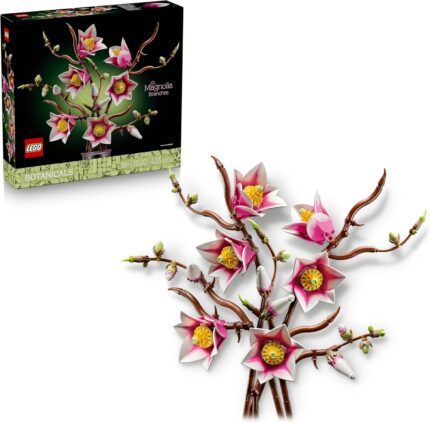 Rametti di magnolia